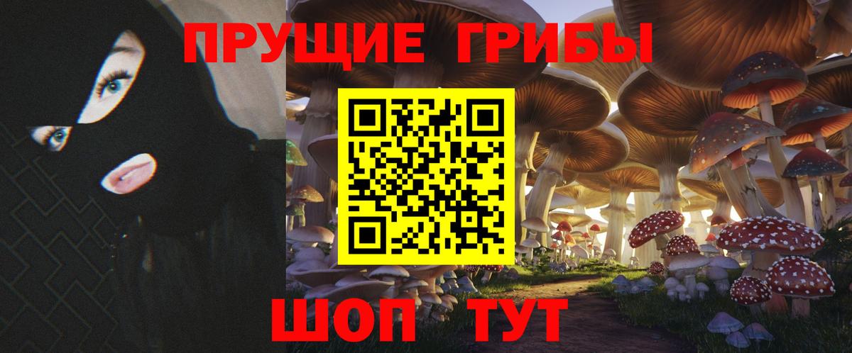Галлюциногенные грибы Cubensis Сокол