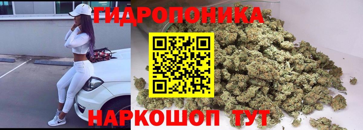 Каннабис White Widow Сокол